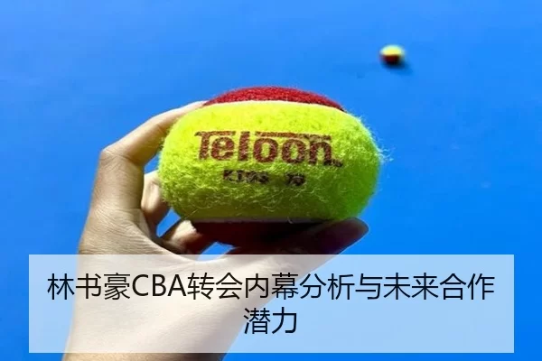 林书豪CBA转会内幕分析与未来合作潜力